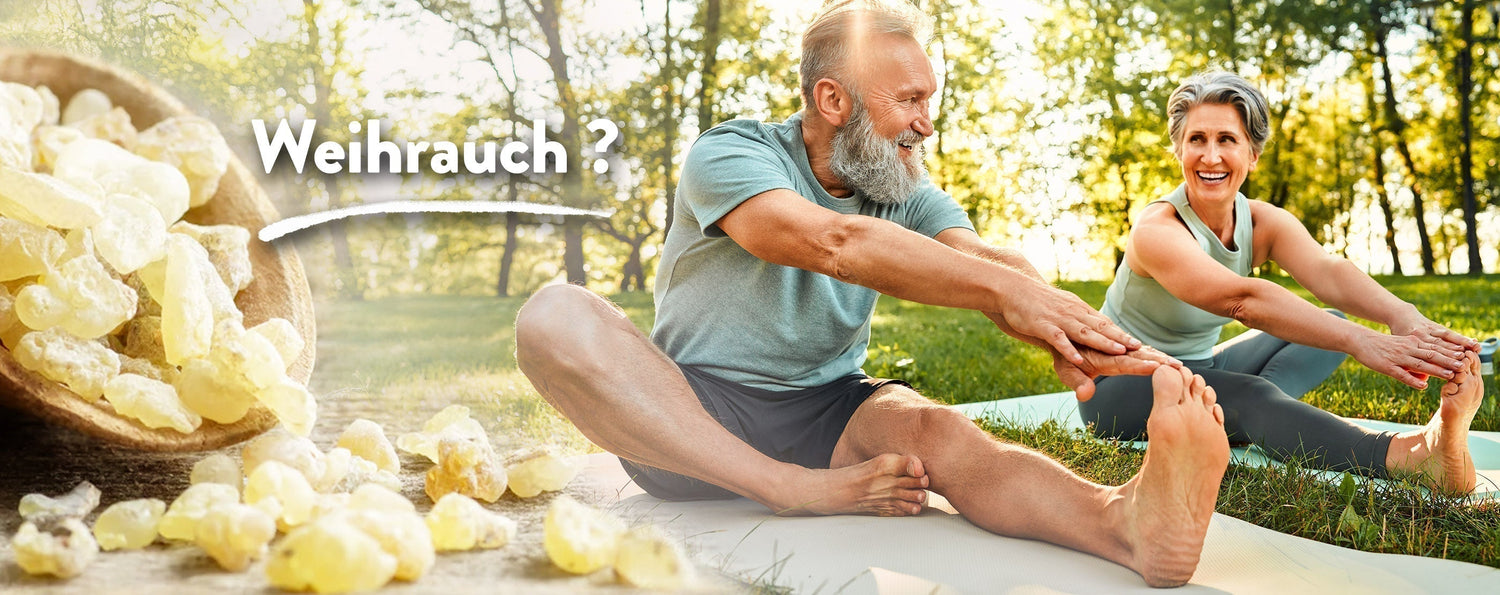 MyNatur Weihrauch Boswellia Serrata Blog Artikel