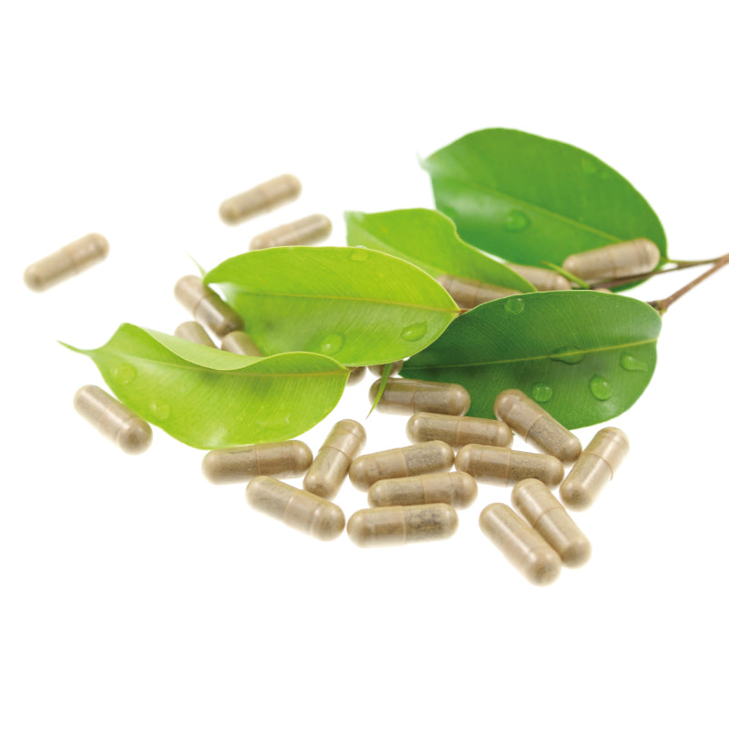MyNatur Vital Energy