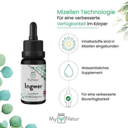 MyNatur Ingwer