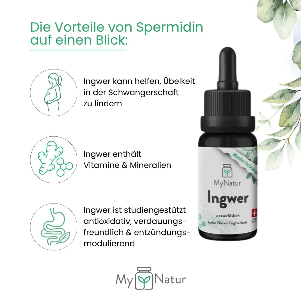MyNatur Ingwer