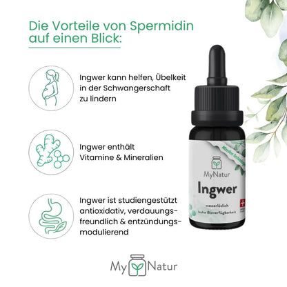 MyNatur Ingwer