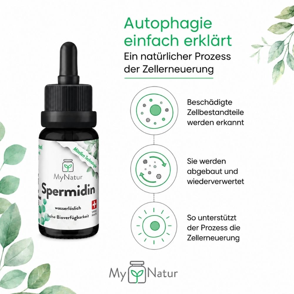 Spermidin Tropfen Vorteilsbundle 3x10 ml