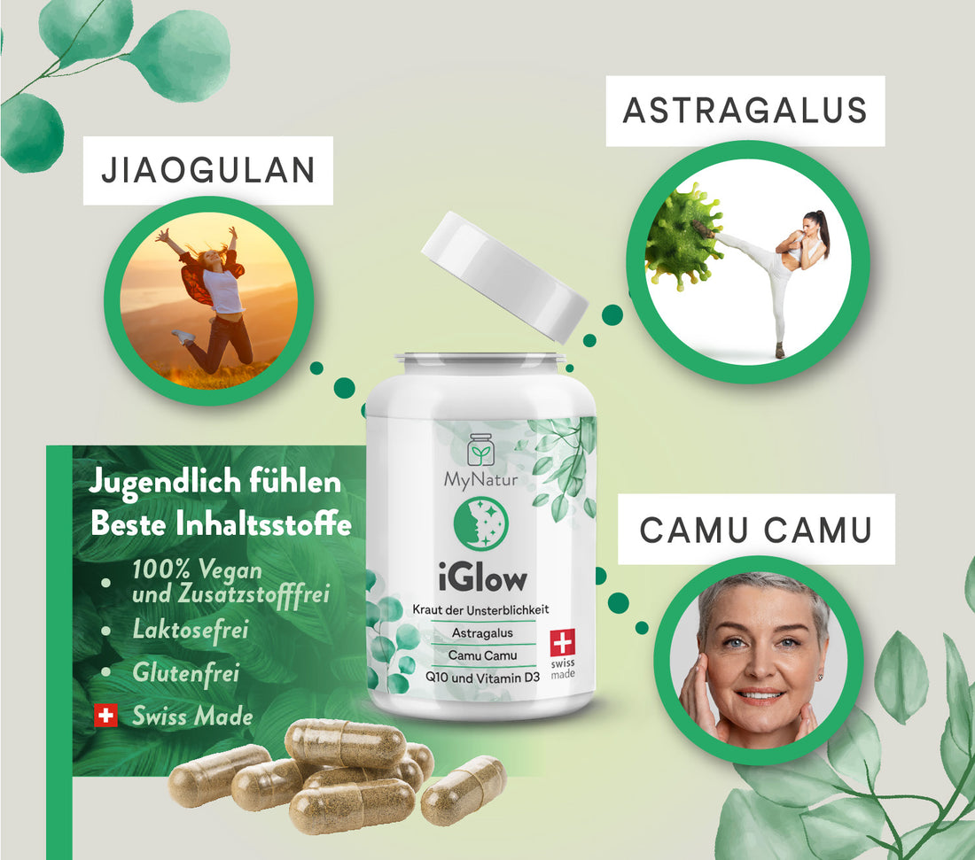 MyNatur Kapseln iGlow Anti aging jiagulan astragalus camucamu